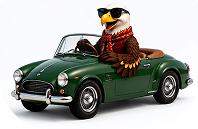 Auto Insurance